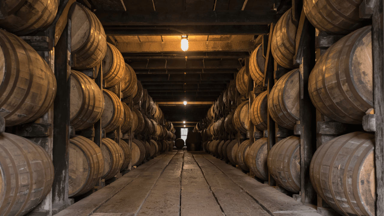 Schottische Whisky Fässer, Glen Grant, 2008