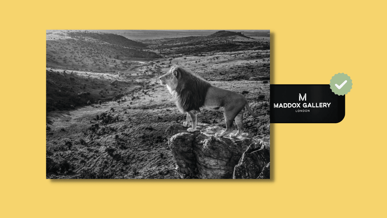 David Yarrow, Pride Rock, 2019
