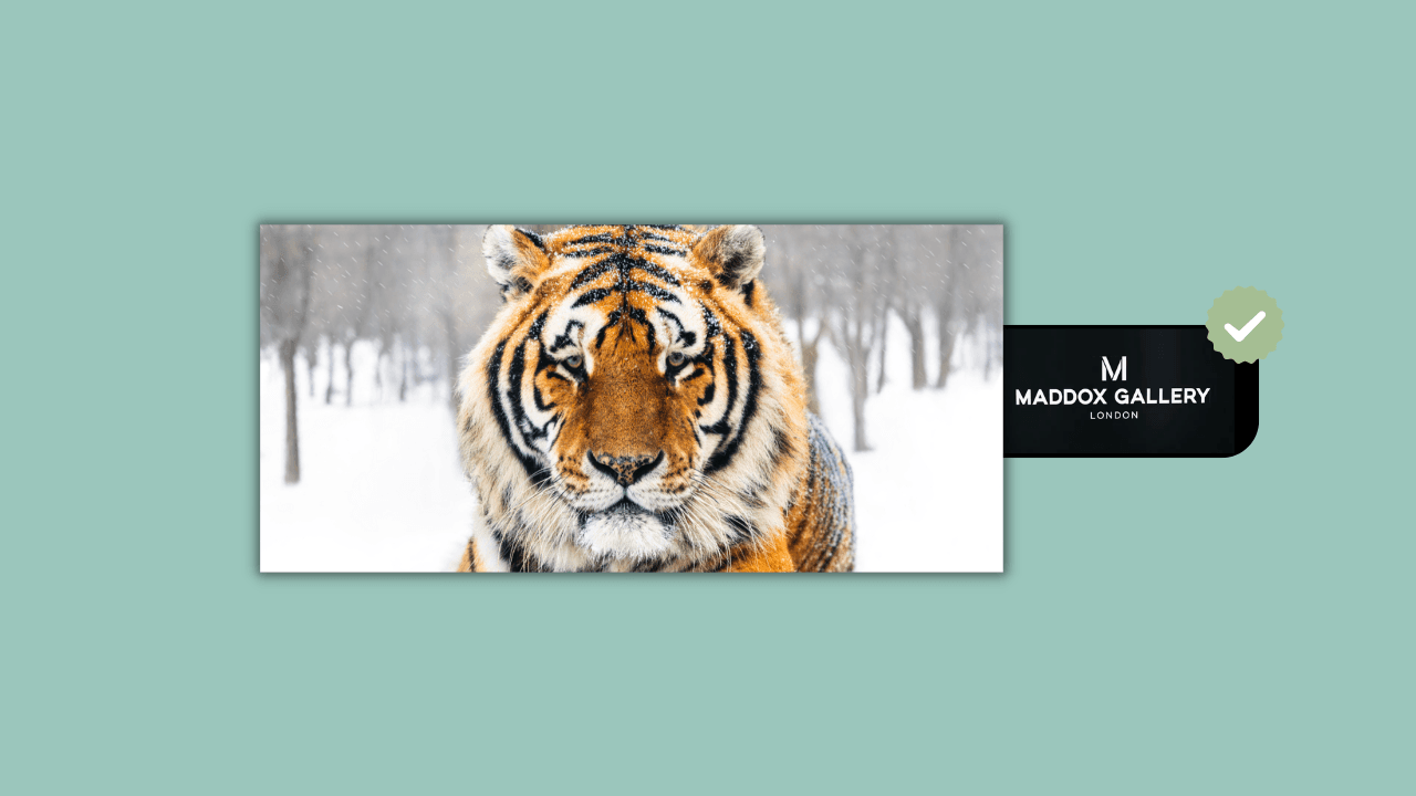 David Yarrow, The Siberian, 2024