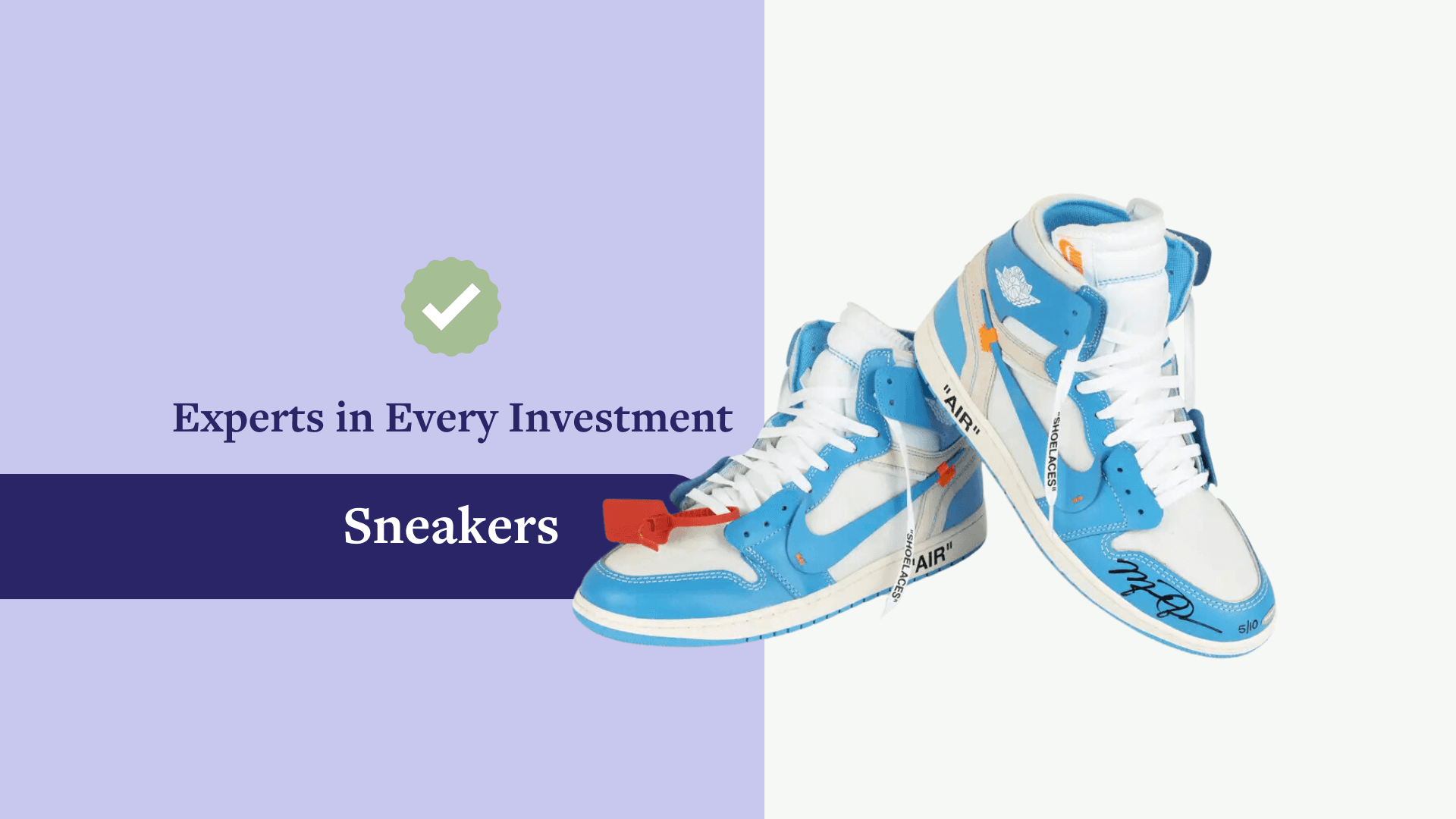 ✅ Experts in Every Investment: A Sneaker Enthusiast 