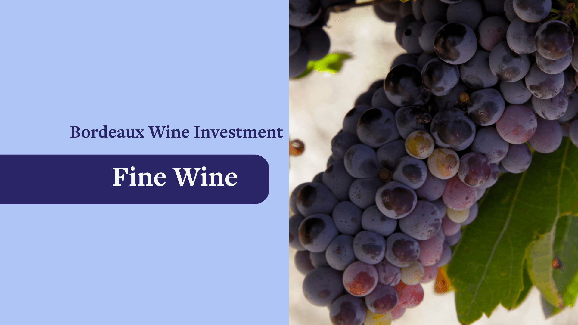 🍇Investing in Bordeaux Wine🍷