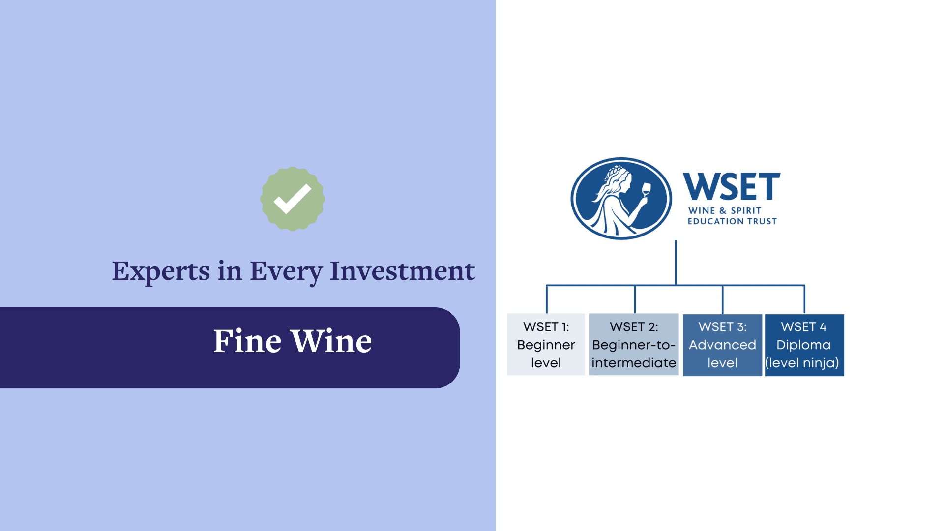 ✅ Des Experts dans Chaque Investissement : Les Vins Fins 2